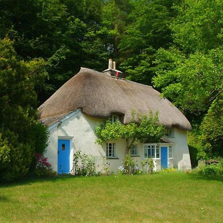 Lew Quarry Cottage Lewdown ภายนอก รูปภาพ