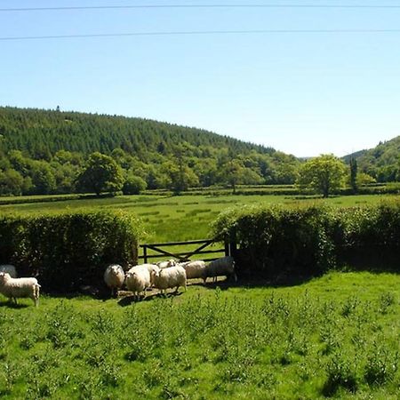 Lew Quarry Cottage Lewdown ภายนอก รูปภาพ