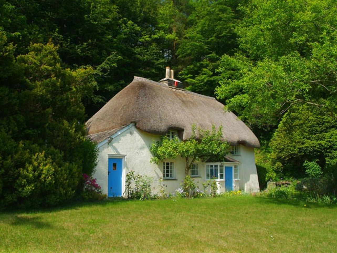 Lew Quarry Cottage Lewdown ภายนอก รูปภาพ